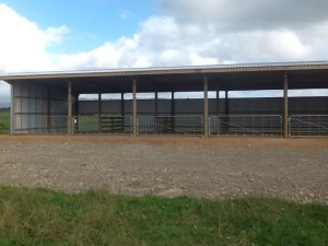 Whakapua Farms pole shed 2 Small