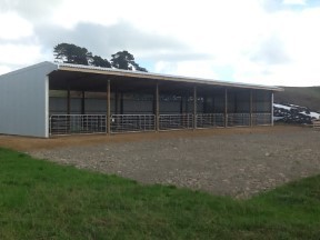 Whakapua Farms pole shed Small
